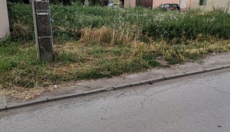 Plac u Kireškoj zarastao u korov