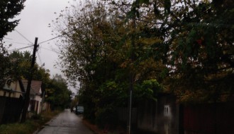 Orezivanje grana i drugog rastinja u Kozaračkoj ulici