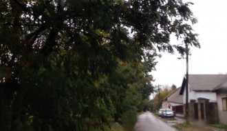 Orezivanje grana i drugog rastinja u Kozaračkoj ulici