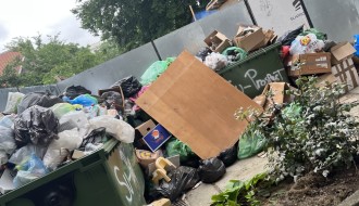 Kontejneri, nagomilano smeće i smrat u centru grada