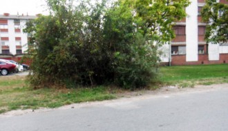 Kontejneri na trotoaru (Ulica Lasla Sekerša)