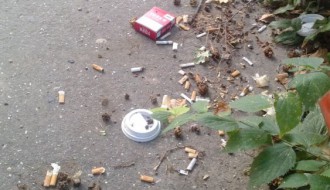 Prljavština u "parku" Opšte Bolnice