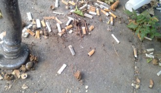 Prljavština u "parku" Opšte Bolnice