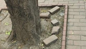 Uništene kocke u Dimitrija Tucovića