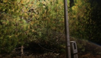 Molba za uređenje rasvete na dečijem igralištu