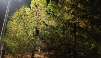 Molba za uređenje rasvete na dečijem igralištu