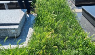 Održavanje Kerskog groblja