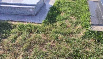 Održavanje Kerskog groblja