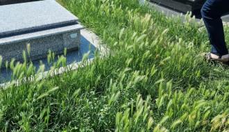 Održavanje Kerskog groblja