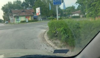 Tabla zaklonila semafor u Ulici Đorđa Natoševića