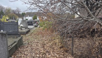 Održavanje groblja u Aleksandrovu - orezivanje granja