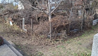 Održavanje groblja u Aleksandrovu - orezivanje granja