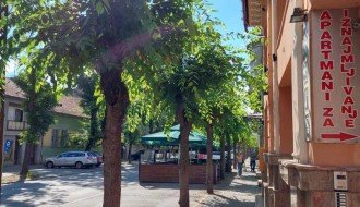 Neorezano rastinje u ulici Matije Gupca