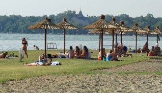 Sitne bube na plaži na Paliću