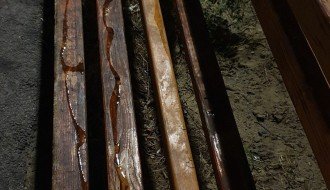 Polivanje klupa u Tokiju nepoznatom tečnošću