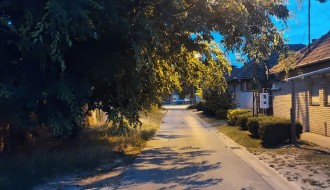 Drvo se nadvilo na Jadranskom ulicom i ometa normalan saobraćaj