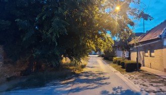 Drvo se nadvilo na Jadranskom ulicom i ometa normalan saobraćaj