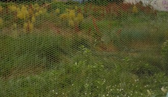 Divlja zelena površina u Ulici Vase Stajića