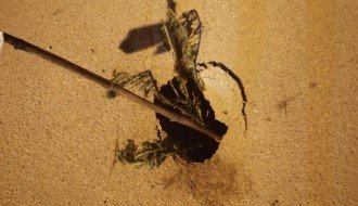 Udarna rupa na uglu Stevana Filipovića i Petra Svačića. 