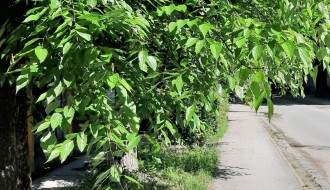 Krater kod vrtića Veverica