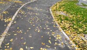 Velika rupa na šahtu na raskrsnici Štrosmajerove i Maksima Gorkog (kod Žute kuće)