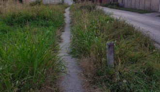 Zarasla trava, korov i ambrozija na trotoaru na kraju Frankopanske i na početku ulice Sekereš Lasla