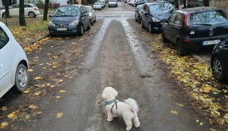 Parkiranje na pešačkoj stazi (Šolohova i raskrsnica sa Kumičićevom)