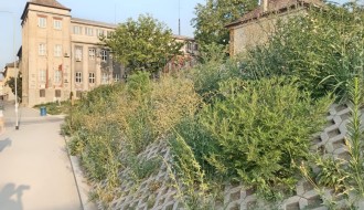 Košenje korova na rekonstruisanom podvožnjaku kod Nove opštine