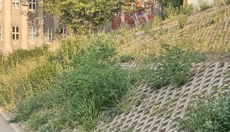 Košenje korova na rekonstruisanom podvožnjaku kod Nove opštine