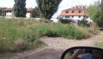 Ambrozija pored Kireške