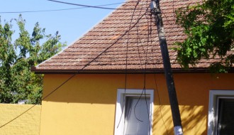 Ekspeditivnost javnih službi