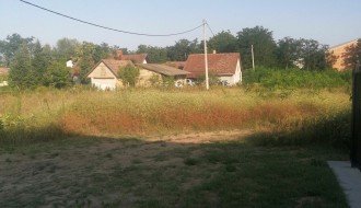 Bez ulice u 21. veku (Đeri Ferenca, Makova sedmica)