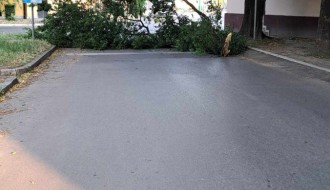 Slomljeno drvo u Ulici biskupa Lajče Budanovića