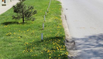 Stubovi uz cestu u ulici Jerneja Kopitara