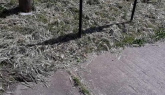 Kako se održava Senćansko groblje?