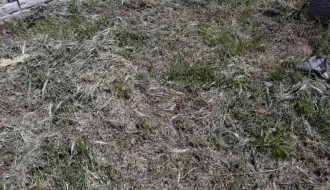 Kako se održava Senćansko groblje?