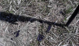 Kako se održava Senćansko groblje?