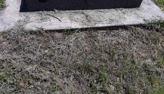 Kako se održava Senćansko groblje?