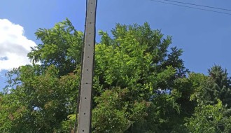 Nakrivljena bandera u Ulici Jelene Ćetković