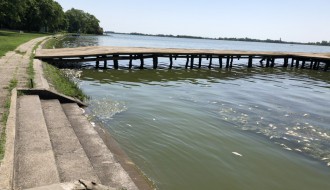 Uginula riba na Paliću