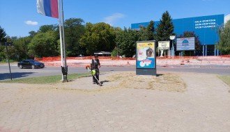 Korov na šetalištu na Radijalcu