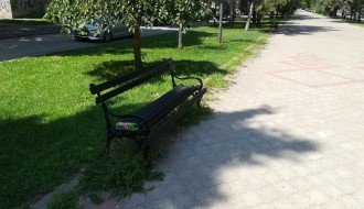 Korov na šetalištu na Radijalcu