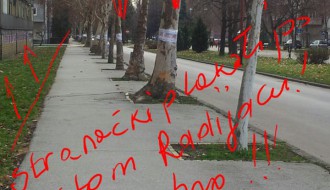 Drvo nije bilbord! (lepljenje plakata na stabla)