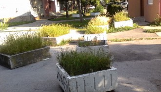 "Afinitet" prema lepoti i zelenilu