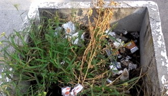 "Afinitet" prema lepoti i zelenilu