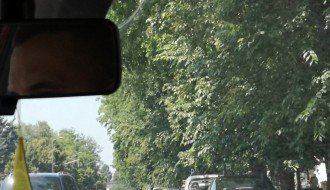 Zelenilo ugrožava saobraćaj (Segedinski put)