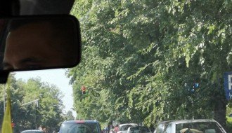 Zelenilo ugrožava saobraćaj (Segedinski put)