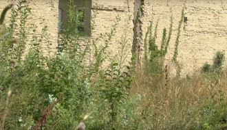 Korov u strogom centru