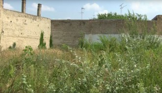 Korov u strogom centru