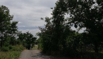 Puknuta drvena bandera u Bračkoj ulici